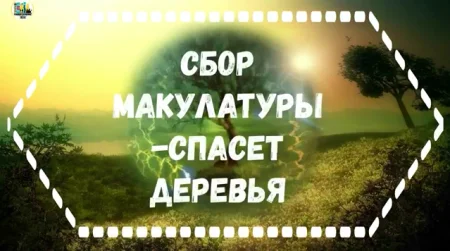 Сбор макулатуры - спасет деревья