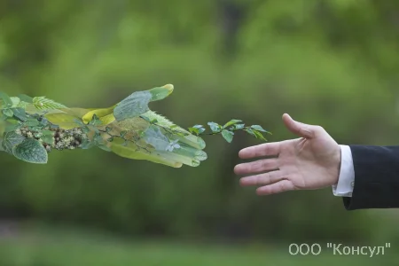 Социальный ролик о природе